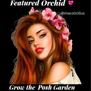 I'm featured 12/10/22host @macolici0us thank you!